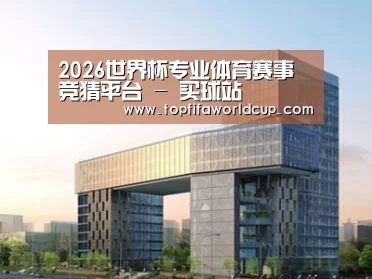 案例展示四(图1) 案例展示四(图1)