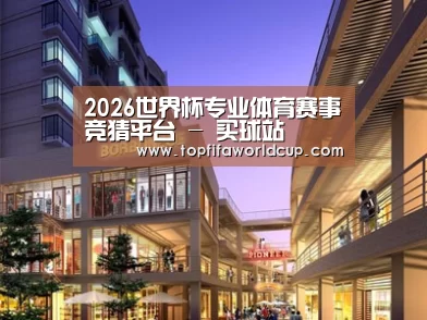 案例展示一