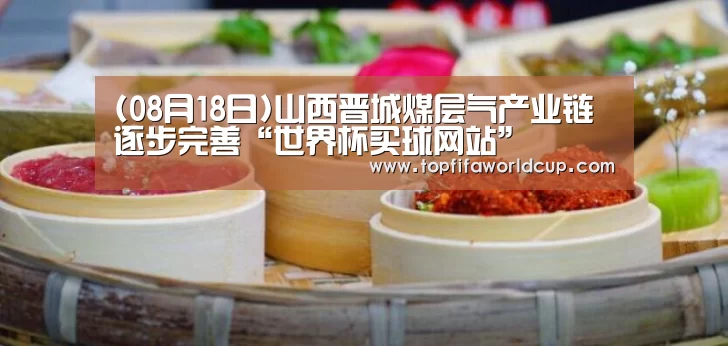 (08月18日)山西晋城煤层气产业链逐步完善“世界杯买球网站”(图2) 世界杯买球网站