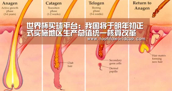 世界杯买球平台:我国将于明年初正式实施地区生产总值统一核算改革(图2) 世界杯买球网站