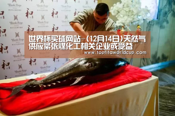 世界杯买球网站-(12月14日)天然气供应紧张煤化工相关企业或受益(图1) 世界杯买球网站