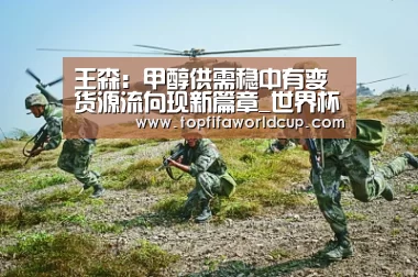 王森:甲醇供需稳中有变货源流向现新篇章_世界杯买球官网(图1) 世界杯买球网站